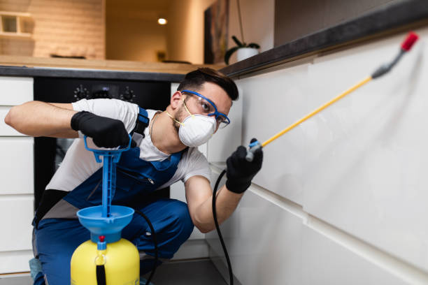 Best Pest Control Near Me in Georgetown, GA