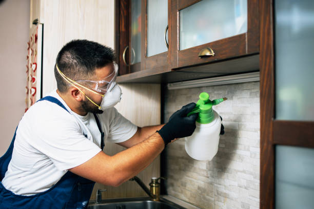 Best Pest Control Cost  in Georgetown, GA
