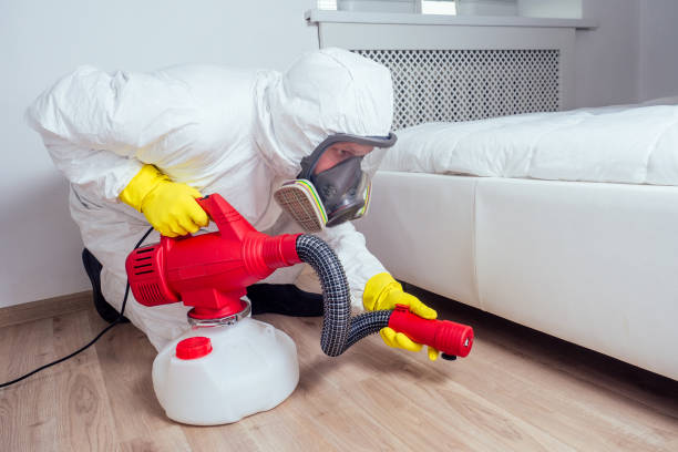 Best Best Pest Control Near Me  in Georgetown, GA
