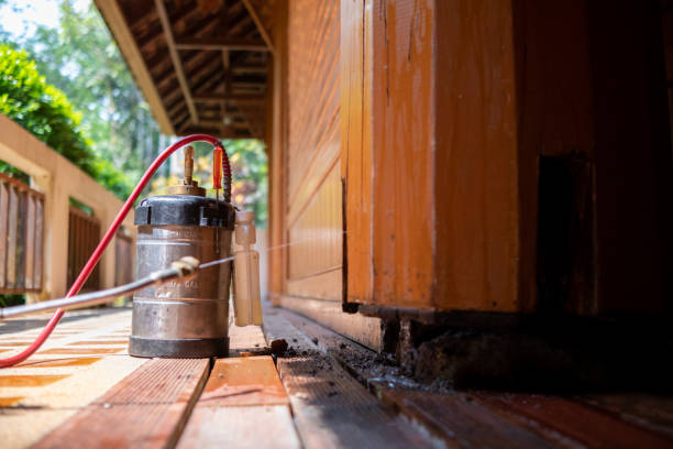 Best Cockroach Control Services  in Georgetown, GA
