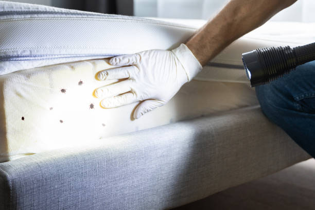 Best Best Pest Control Companies  in Georgetown, GA