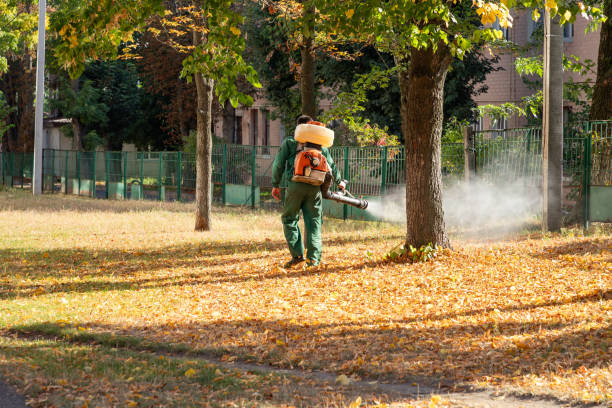 Best Spider Control Near Me  in Georgetown, GA