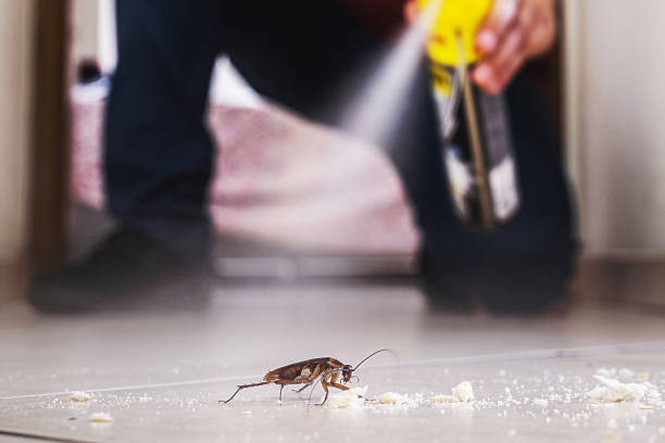 Best Pest Removal Services  in Georgetown, GA