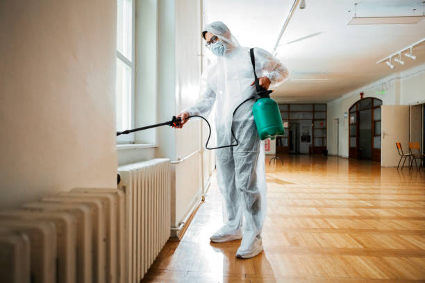 Best Affordable Pest Control Services  in Georgetown, GA
