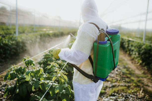 Best Local Pest Control Services  in Georgetown, GA